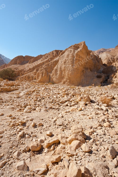 Preview: Canyon In The Judean Desert On The West Bank