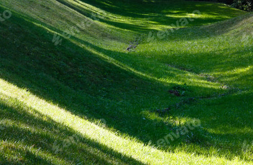 Preview: Perfect Green Grass Lawn On Landscape Designed Summer Park Hollow. Striped Shadows On Curved Meadow
