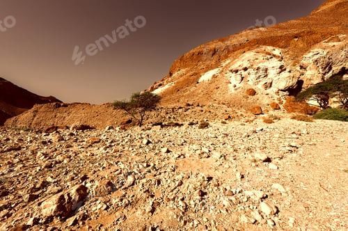 Preview: Canyon In The Judean Desert On The West Bank Of The Jordan River At Sunset, Vintage Style Toned