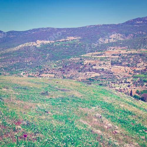 Preview: Golan Heights In The Spring, Retro Effect