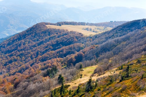 Preview: Autumn Mountains With A Stark Bare Trees On Forest Mountainside Edge (Carpathian, Ukraine).