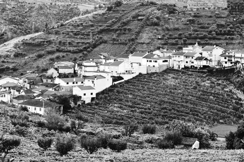 Preview: Village Surrounded By Vineyards On The Hills Of Portugal, Stylized Photo