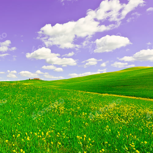 Preview: Green Sloping Meadows Of Tuscany