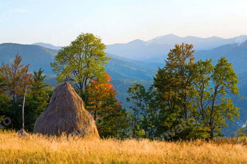 Preview: Autumn Mountain Hill With Colorful Tree And Haystack (Carpathians, Ukraine)