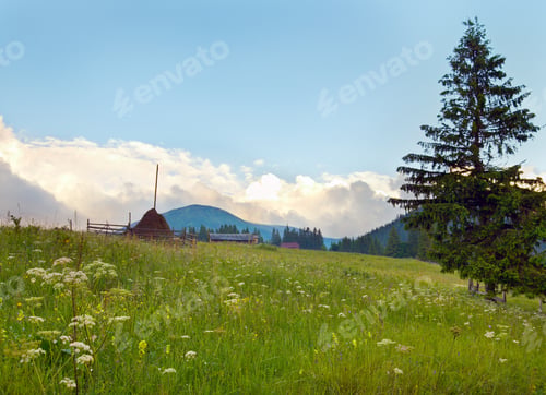 Preview: Summer Mountain Blossoming Green Meadow With High Fir Tree And Haystack