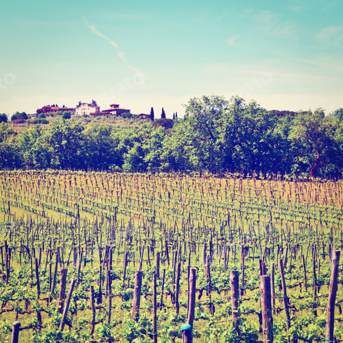 Preview: Hills Of Tuscany With Vineyards In The Chianti Region, Instagram Effect