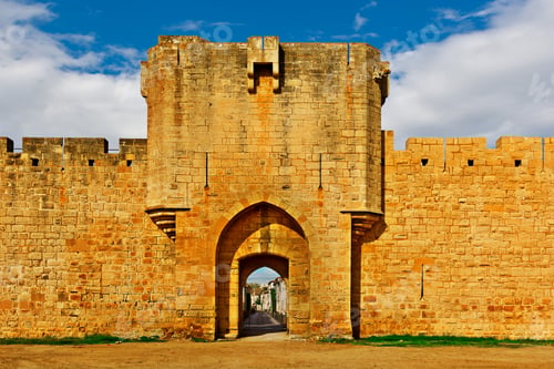 Preview: View Of The City Through The Gate Of Aigues Mortes, France