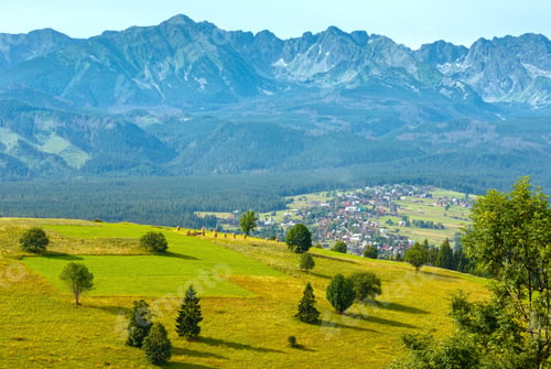 Preview: Summer Mountain Village Outskirts And Tatra Range Behind (Gliczarow Dolny In Valley, Poland)