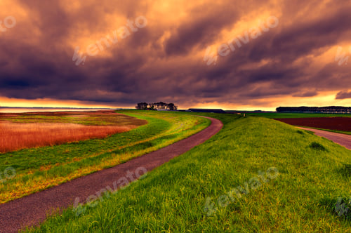 Preview: Agriculture On Land Reclaimed From The See In Netherlands At Sunset. Asphalt Road Along Protective