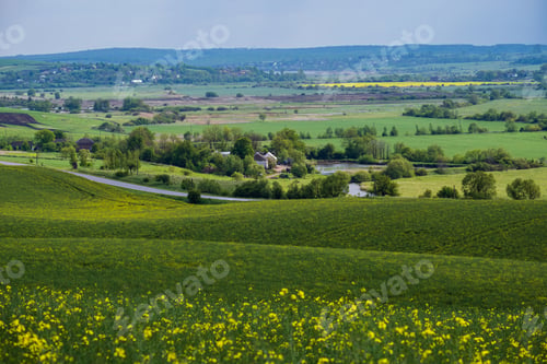 Preview: Spring Countryside View With Road, Rapeseed Yellow Blooming Fields, Village, Hills. Ukraine, Lviv