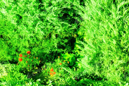 Preview: Illuminated In Green Trees In The Night Park