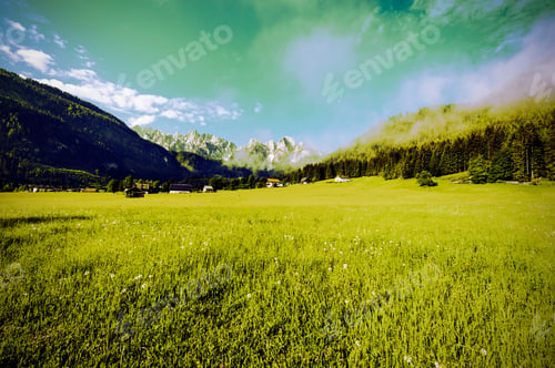 Preview: Austrian Landscape With Forests And Meadows On The Background Of Snow-Capped Alps In Early Morning