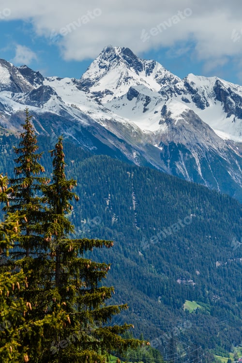 Preview: Summer Alps Mountain Landscape With Fir Forest On Slope And Snow Covered Rocky Tops In Far, Austria.
