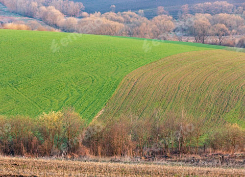 Preview: Spring Morning Rural Country Landscape With Plowed Agricultural Fields On Hills, Trees And Groves
