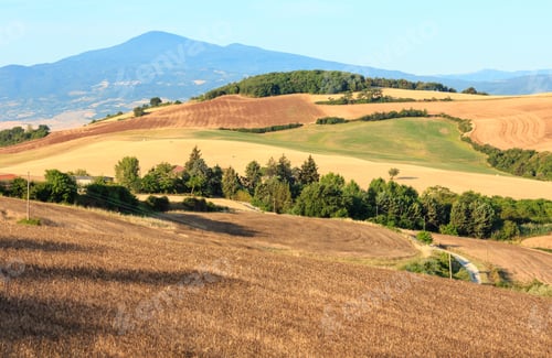 Preview: Beautiful Landscape Of Summer Morning Countryside In Montepulciano Region (Italy).