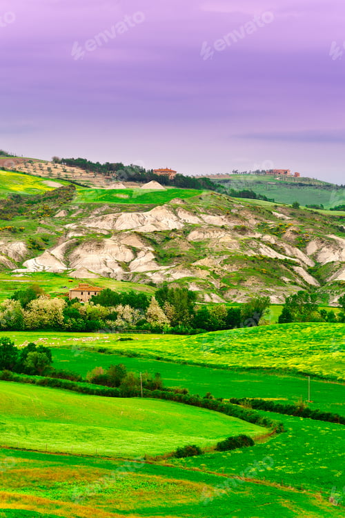 Preview: Green Fields In Italy At Sunset