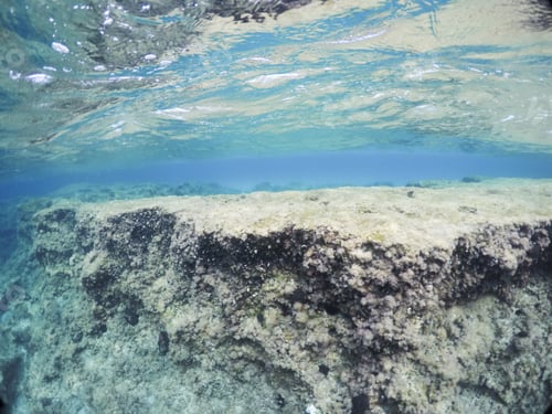 Preview: Underwater Image In Formentera Island Balearics Spain Es Calo De San Agusti Coast