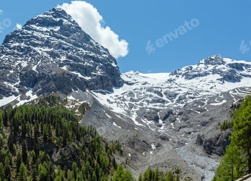 Preview: Summer Stelvio Pass With Fir Forest And Snow On Mountain Top (Italy)