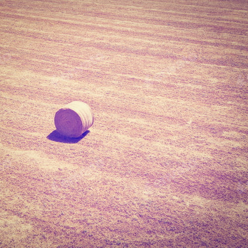 Preview: Hay Bale in a Harvested Farm Field