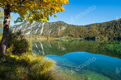 Preview: Sunny Idyllic Colorful Autumn Alpine View. Peaceful Mountain Lake With Clear Transparent Water And