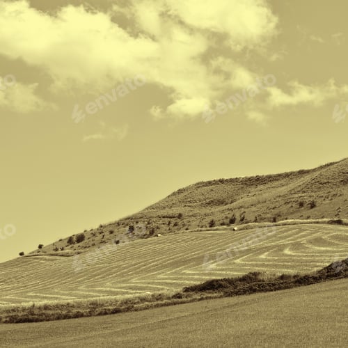 Preview: Stubble Fields On The Hills Of Sicily, Retro Image Filtered Style