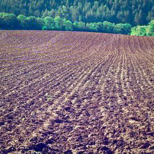 Preview: Plowed Sloping Hills In France After Harvesting, Instagram Effect