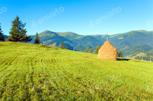 Preview: Summer Mountain Village Outskirts With Field And Haystack