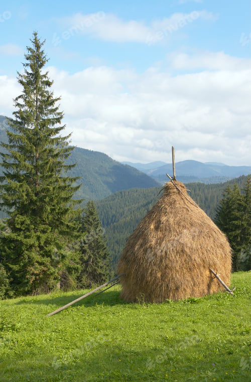 Preview: Summer Mountain Green Meadow With Stacks Of Hay (Carpathian Mt-S, Ukraine).