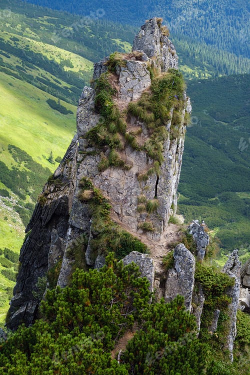 Preview: Summer Mountain Slope With Picturesque Rock Formations. Shpyci Mountain, Carpathian, Ukraine.