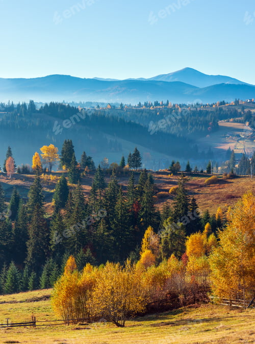 Preview: First Sunrise Rays Of Sun And Shadows Through Fog And Trees On Slopes. Morning Autumn Carpathian