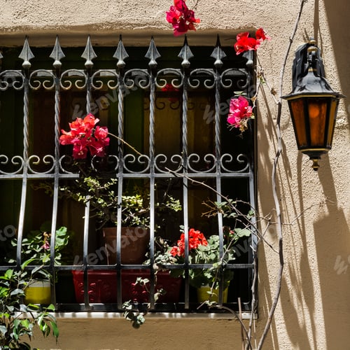 Preview: Window Decorated With Fresh Flowers With Ornamental Metal Lattice On Malta