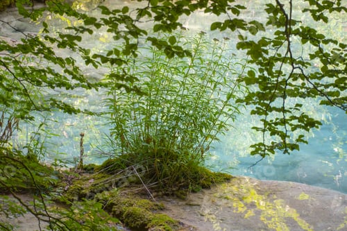 Preview: Source Of The River Urederra In Urbasa Mountain Range, Navarra, Spain