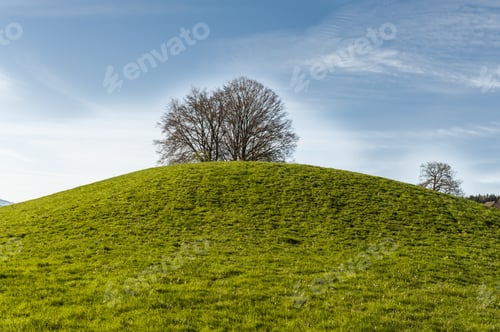 Preview: Swiss Landscape With Forests And Meadow Early In The Morning. Agriculture In Switzerland, Fields