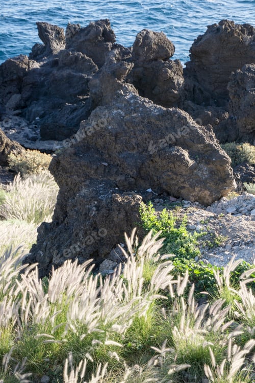 Preview: Coast In Los Abrigos Tenerife Canary Islands Spain