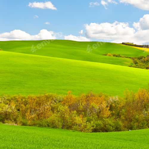 Preview: Green Sloping Meadows Of Tuscany