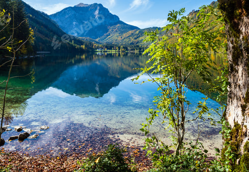 Preview: Sunny Idyllic Colorful Autumn Alpine View. Peaceful Mountain Lake With Clear Transparent Water And