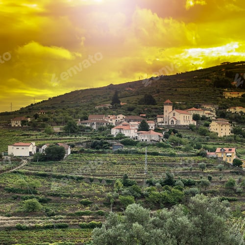 Preview: Vineyards Of The River Douro Region In Portugal. Viticulture In The Portuguese Village. Gorgeous