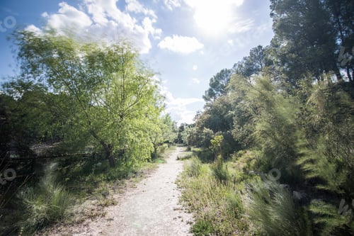 Preview: El Bosquet Reservoir L Olleria Valencian Community Spain