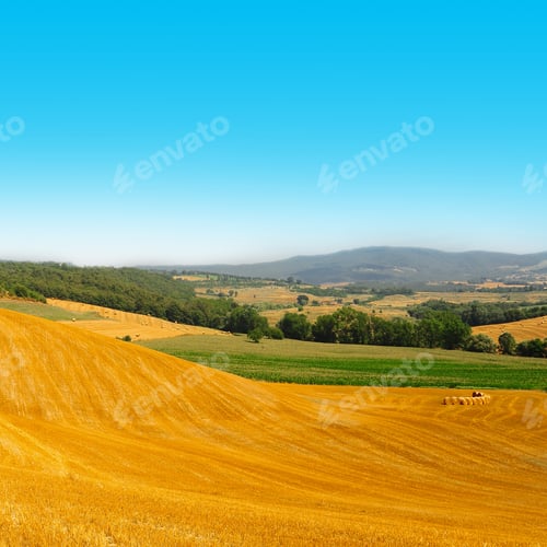 Preview: Landscape With Many Hay Bales