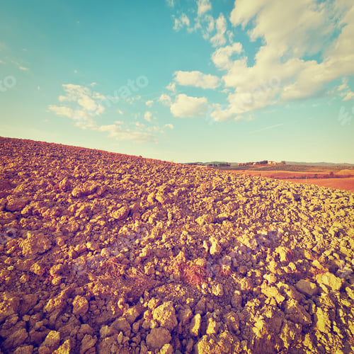 Preview: Arid Farmland Under a Bright Cloudy Sky