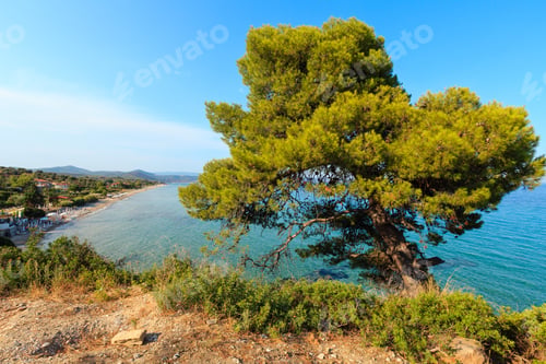 Preview: Wonderful Sandy Beach At Aegean Sea On Sithonia, Halkidiki, Greece.