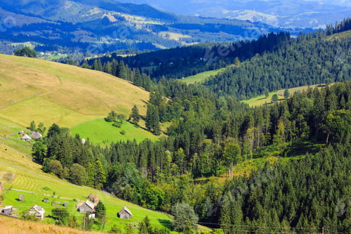 Preview: Mountain Village. Summer Country Landscape With Fir Forest On Slope (Carpathian, Ukraine