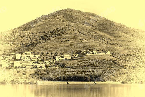 Preview: Portuguese Village Surrounded By Vineyards On The Banks Of The River Douro, Stylized Photo