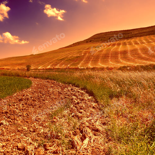 Preview: Pasture On The Hill In Sicily, Italy