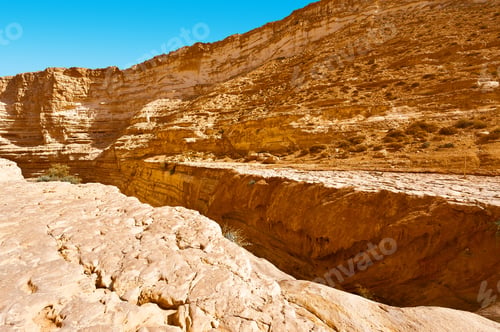 Preview: Canyon En Avedat Of The Negev Desert In Israel