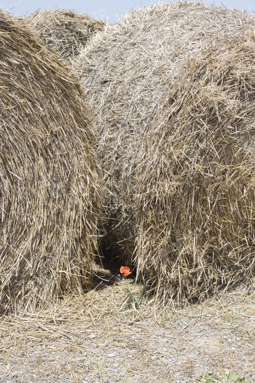 Preview: Hay Bales On A Field Teruel Aragon Spain