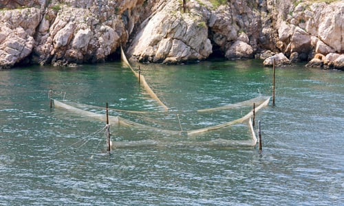 Preview: Fishing Nets In Sea Near Rocky Coastline