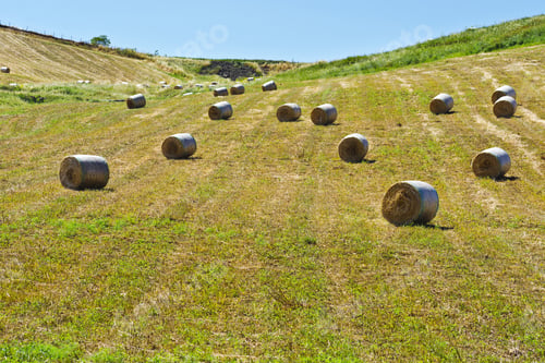 Preview: Landscape Of Sicily With Many Hay Bales