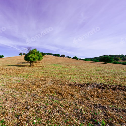 Preview: Sloping Pasture Of Spain In The Autumn