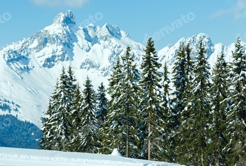 Preview: Winter Mountain Fir Forest Snowy Landscape (Top Of Papageno Bahn - Filzmoos, Austria)